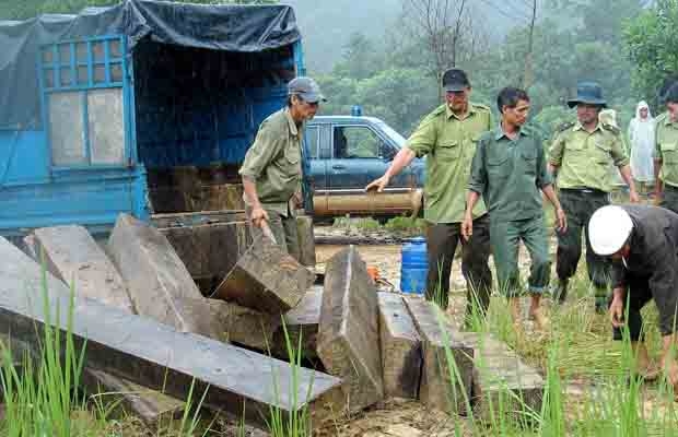 Đạ Huoai: Tịch thu trên 4m3 gỗ vắng chủ