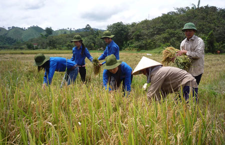 Áo xanh nơi vùng “trũng”