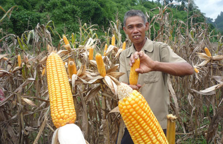 Chuyện người đi mở đất