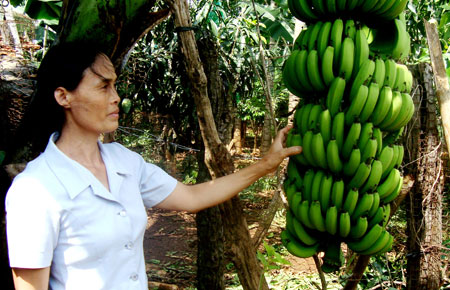 Tân Hội với những niềm vui