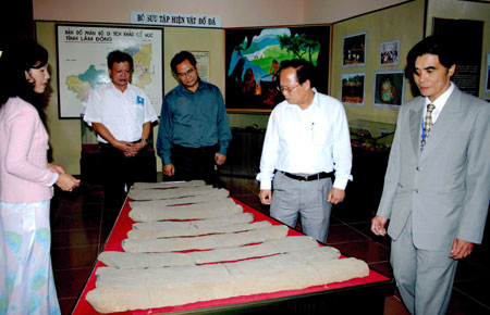 Thạch cầm Nam Tây Nguyên