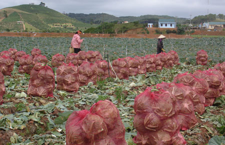 Đổi thay ở xã Lát