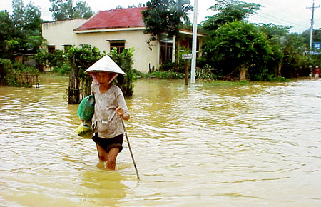 Ảnh: CTV Hoàng Giang