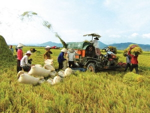 Agribank bổ sung 15.000 tỷ đồng vay nông nghiệp