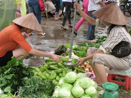 Rau xanh tăng cao, người tiêu dùng “ngỡ ngàng”