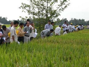 Hình thành xu hướng mới trong đầu tư nông nghiệp