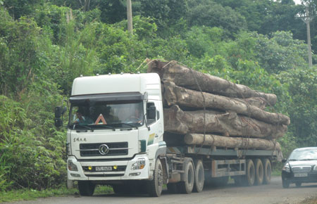 Chiến lược phát triển mạng lưới giao thông