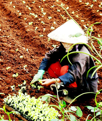Tạo “thói quen mới” trong sản xuất cho người thiểu số