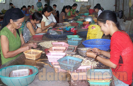 Thu hút hội viên từ những phong trào