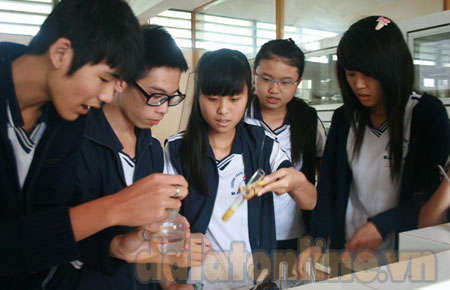 Cô học trò sáng chế thuốc trừ sâu từ hạt bình bát
