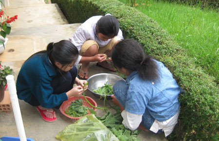 Những ngôi nhà được sưởi ấm bằng tình yêu thương
