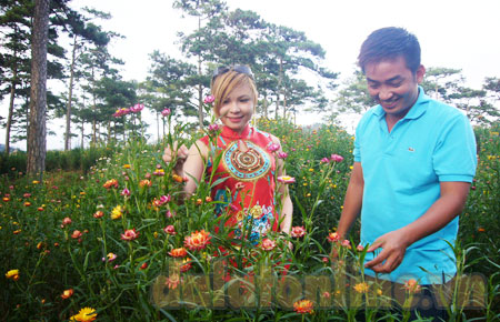 Hoa từ tình người
