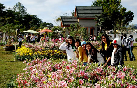 Tâm thế mới của hoa Đà Lạt