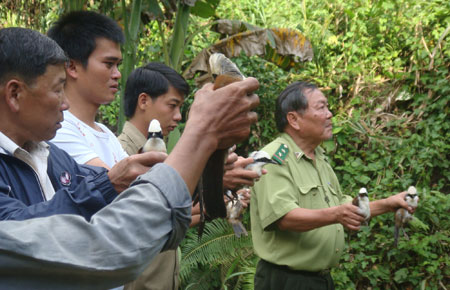 Thả chim về rừng
