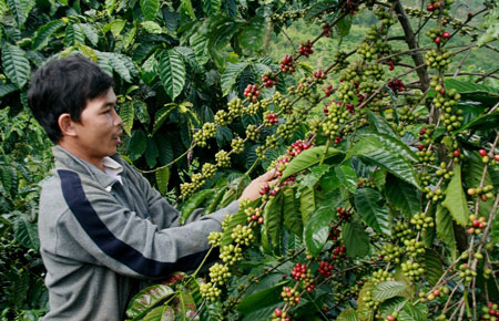 K’Thương và giải thưởng Lương Định Của