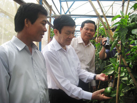Chào nông thôn mới Tân Hội