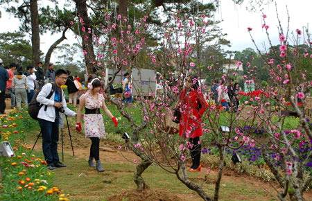 Đầu xuân đi hái lộc