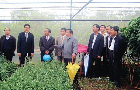 Nông nghiệp công nghệ cao góc nhìn mở