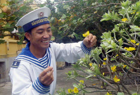 Cành mai vàng làm từ cây phong ba trên đảo.