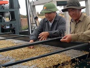Đưa càphê vào mặt hàng kinh doanh có điều kiện