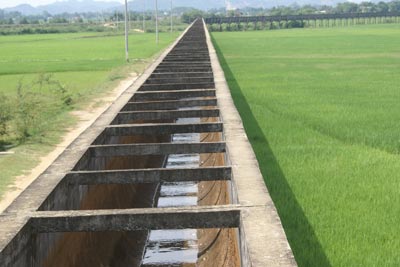 Bộ trưởng Bộ NN &amp; PT nông thôn trả lời kiến nghị của cử tri Lâm Đồng