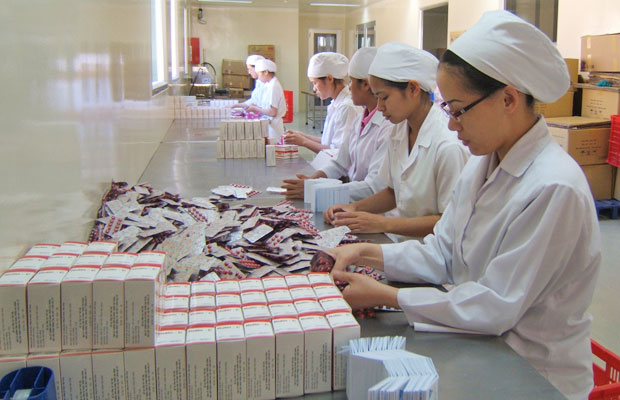 “Ngủ quên” trên rừng thuốc