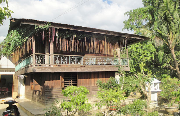 Người và cây