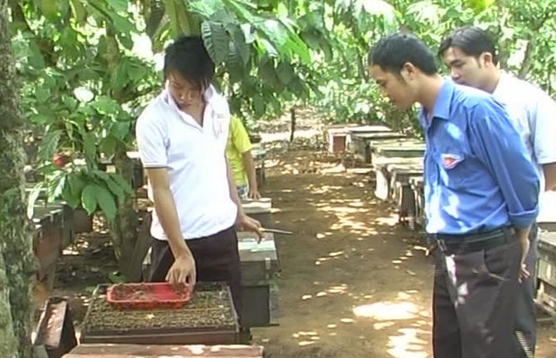 Thanh niên Lâm Hà làm giàu trên quê hương