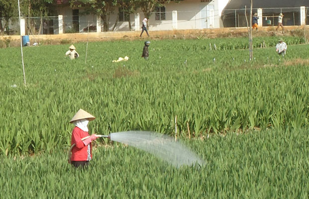 Nhìn lại 8 năm đổi mới chính sách, pháp luật về đất đai
