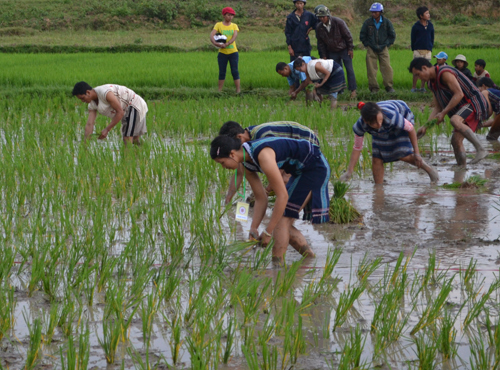 Tiêu chí xác định thôn đặc biệt khó khăn, xã thuộc vùng dân tộc và miền núi
