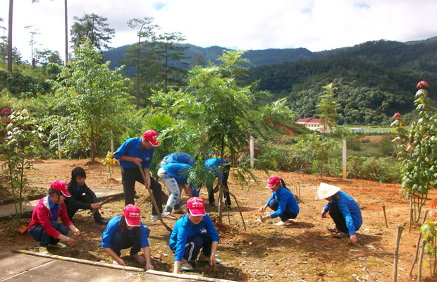 Màu xanh tình nguyện trên buôn làng Đạ Chais