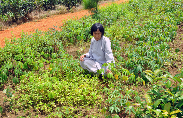 Rất cần đến “tình làng, nghĩa xóm”!