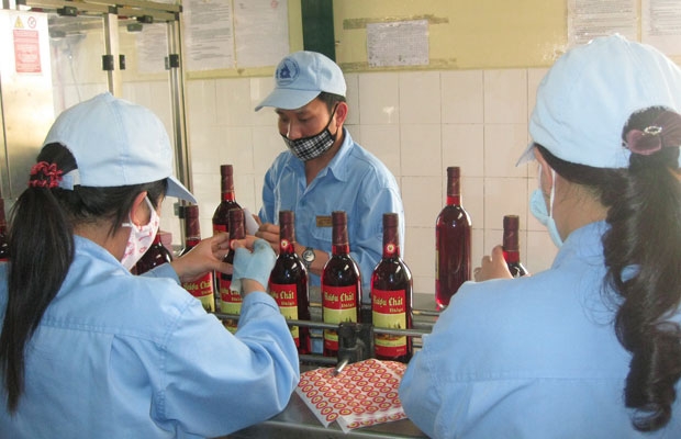 Áp dụng hệ thống quản lý góp phần nâng cao chất lượng sản phẩm