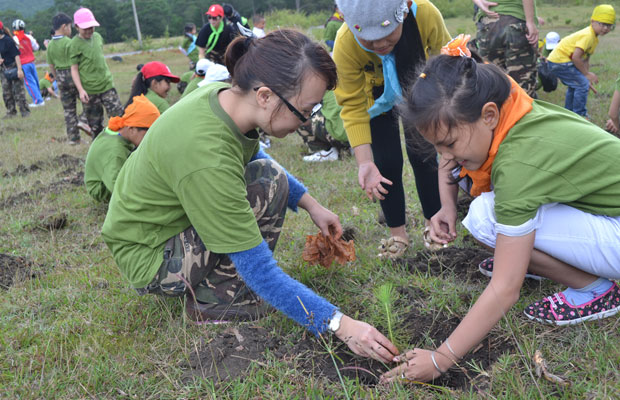 Học sinh trồng rừng