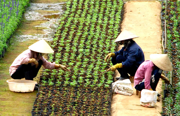 Lạc Dương: Các cấp ủy Đảng phát huy vai trò là hạt nhân chính trị ở cơ sở