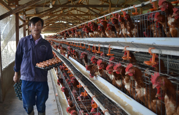 HĐND tỉnh giám sát Chương trình xây dựng nông thôn mới tại xã Tân Hội