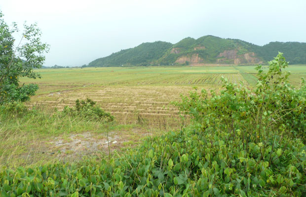 Trông chờ một công trình