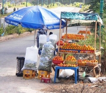 Lại một mùa hồng vắng vẻ