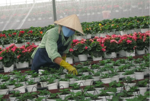 Đổi mới, nâng cao chất lượng hiệu quả hoạt động của Liên hiệp hội trong thời kỳ đẩy mạnh CNH - HĐH đất nước
