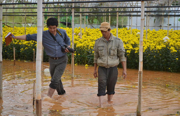 Đà Lạt: Mưa lớn, nhiều diện tích rau, hoa bị thiệt hại nặng