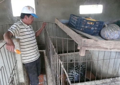 Khó khăn trong việc nhân rộng