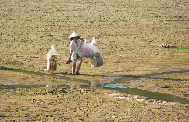 Đôi gánh hàng rong