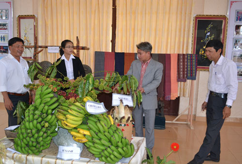Những đặc sản của địa phương