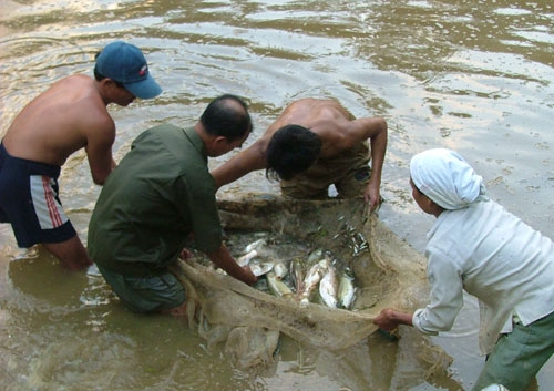 Những đồng vốn sẻ chia