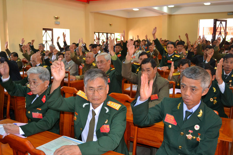 Các đại biểu biểu quyết