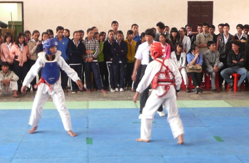 Năm thành công của võ thuật Lâm Đồng
