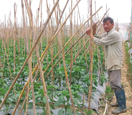 Chân đất làm nông nghiệp công nghệ cao