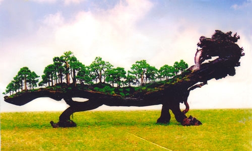 “Gởi” hồn vào gỗ