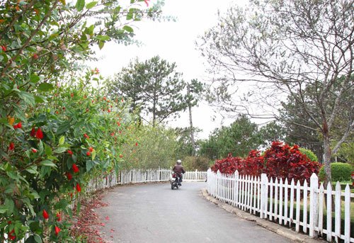 Dệt áo hoa cho Đà Lạt