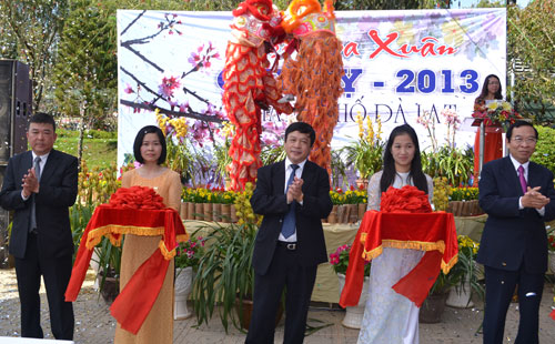 Hội hoa xuân Quý Tỵ  2013 mở cửa đón khách thăm quan